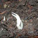 재미난밭 이미지