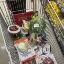 화목펜션 | 충남 태안 청춘캠프 펜션 후기 / 애견 동반 해수욕장 바다 1분 거리 불멍 화목난로 바베큐