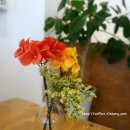 개울가빨래방 이미지