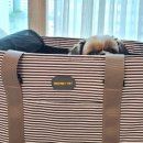 성남네거리 이미지