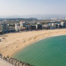 커피오감 이미지