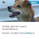 먹자 이미지