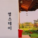 스테이영 이미지