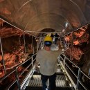 CU 동해천곡대로점 | 강원도 동해 가볼만한곳 천곡황금박쥐동굴 - 시원한 여행 코스