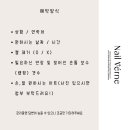 네일베르네 이미지