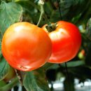 준 휘트니스 이미지