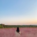 가을 춘천여행 / 해피초원목장, 이상원미술관, 오월학교