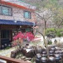 덕유산송계산장 이미지
