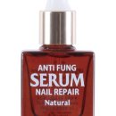 페디베네 이미지