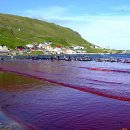 바다와고래 이미지