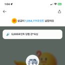 렌터카_카카오페이_2