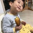 남쪽창고농수산물협동조합 이미지