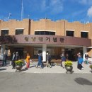 sd16 동문회 2025년 10월 가을 나들이(청남대, 속리산 법주사) ＜후기＞ 이미지