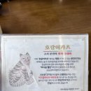 카츠로57 | 경주 황리단길 돈까스 맛집 어디? ‘호랑이카츠’에서 제대로 먹고 온 내 돈 내산 후기