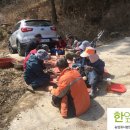 한잎새