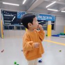 조대원태권도장 이미지