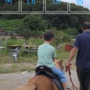 신근마을 | 봄인데 어디 가지 고민될 때, 아이랑 가기 좋은 체험형 장소 11곳