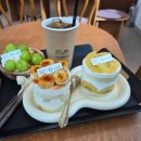 321베렌도 이미지