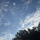 푸디스트(주) 국방연구원점 | 민간자격 등록신청 절차 및 구비서류