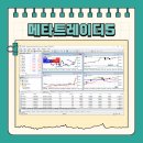 메타스퀘어글로벌 이미지