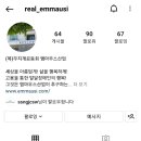 엠마우스산업 이미지