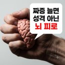 코끼리통증의학과 | 짜증이 늘었다면 성격 탓 마세요…정신과 의사가 밝힌 '뇌 피로 신호'와 3분 해결법