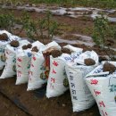 솔바우농장 이미지