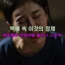 (주)상상초월 | 탐정들의 영업비밀 122회 상상 초월하는 반전 돌싱녀 스토킹 후기