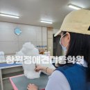 튼튼애견미용 이미지