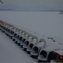 황금비늘 테마거리 이미지