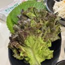 UR(원주시)-[만대로]-상-1 | [맛집] 원주 무실동 족발맛집 ' 족발당 본점'