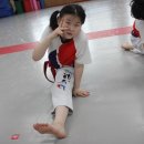 ACE 태권도장 이미지