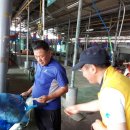 광양읍 매일시장 이미지