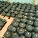 윤희농장 이미지