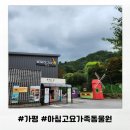 만천유치원 | 가평 아기랑 가볼만한 곳 아침고요가족동물원 내돈내산 후기