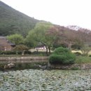 박종단 | 전라남도 진도군 지산면 인지리