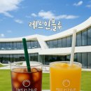 인스타고성점 | [고성카페 추천] 레드인블루 고성점 솔직 후기 – 찰옥시기빵과 아이와 함께한 감성 힐링카페