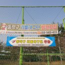 동작유소년야구단 Daum카페