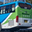 군청사거리~신정사거리 이미지