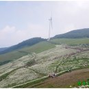 하늘원 화장실 이미지