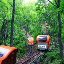 비봉산 투어로드 이미지