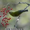 외양간 이미지