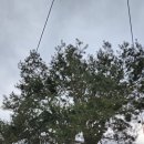 경충대로 2709번길 2 이미지