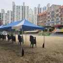 수원금곡초등학교 이미지