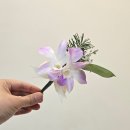 귀빈꽃장미 네이버블로그