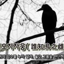 수지오지자웅(誰知烏之雌雄) - 까마귀의 암수를 누가 알랴, 옳고 그름을 판단하기 어렵다. 이미지