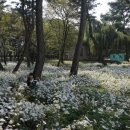 삼문송림길 이미지