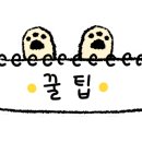 가은7호 이미지