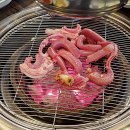 안박사 곰장어 이미지