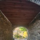 고한농협 앞(61092) | 전등사 나들이